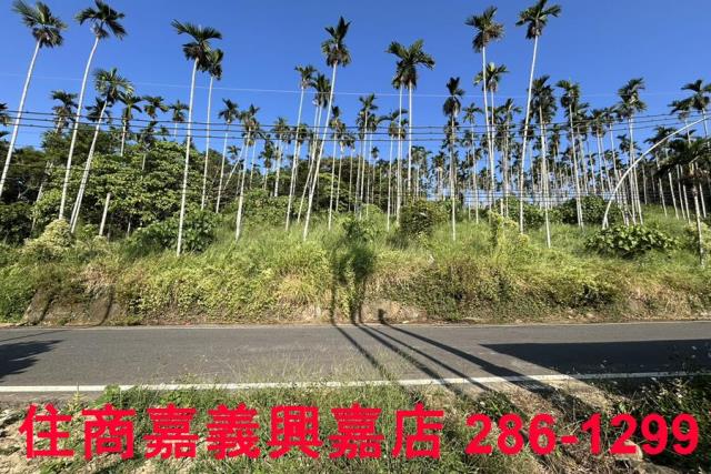 嘉義中埔農地-6