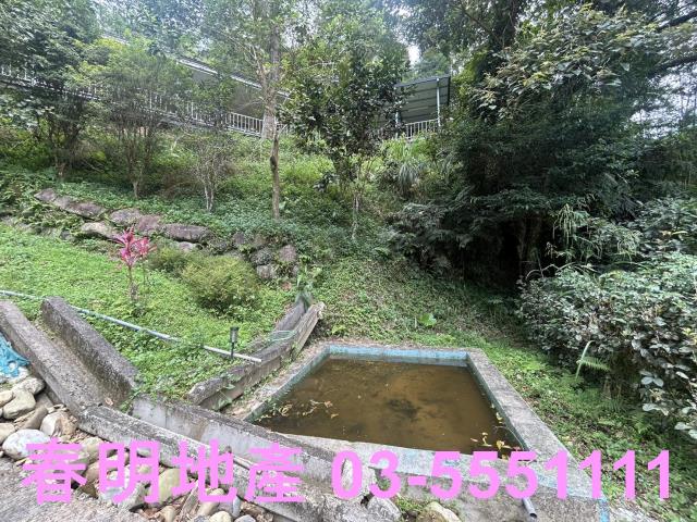 新竹橫山農地-4