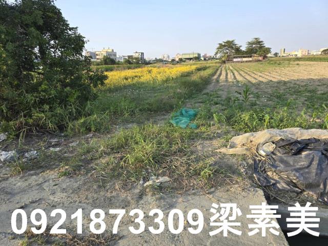 台南永康農地-2