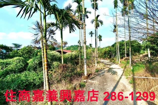 嘉義中埔農地-11
