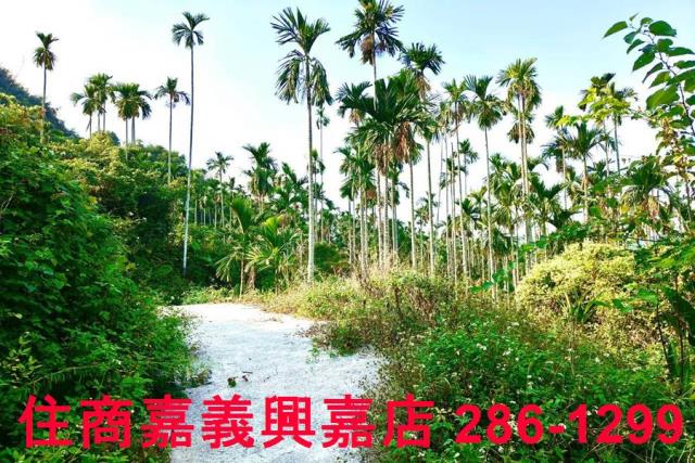 嘉義中埔農地-6