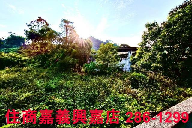 嘉義中埔農地-9
