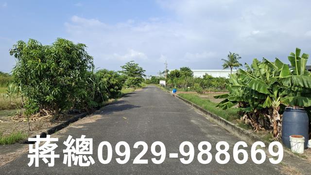 台南安定農地-2