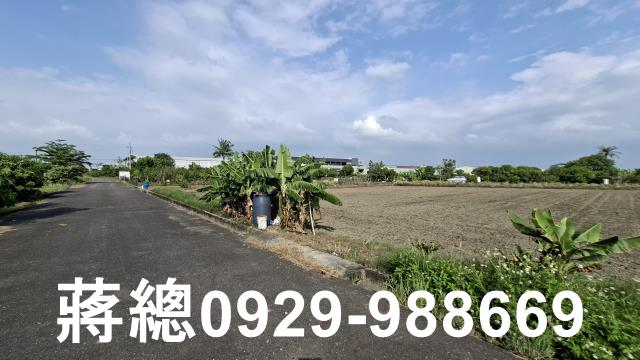 台南安定農地-3