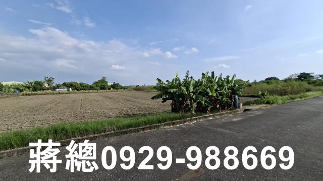台南安定農地-6