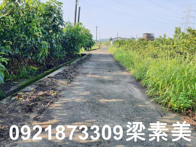 玉井農地-9