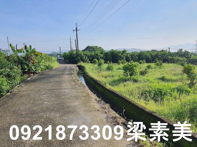玉井農地-11