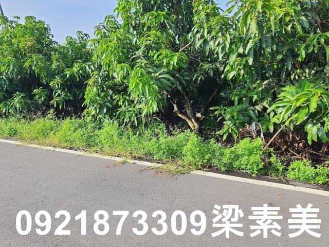 玉井農地-1