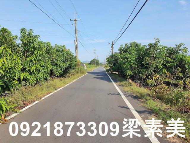 玉井農地-2