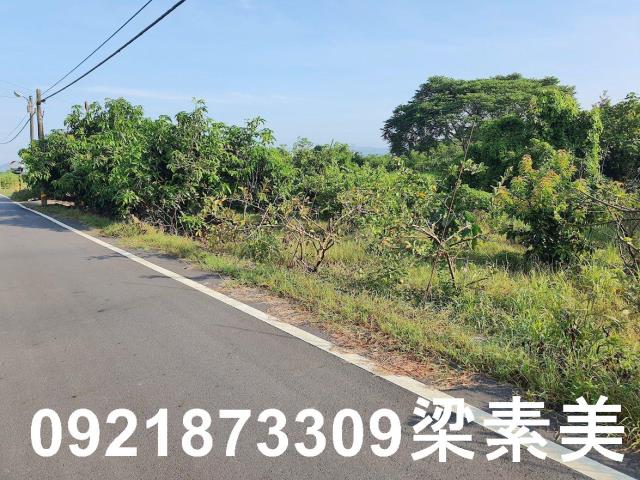 玉井農地-3