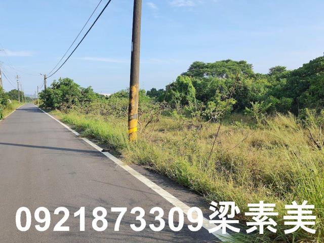 玉井農地-4