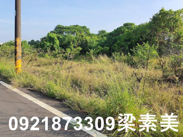 玉井農地-5