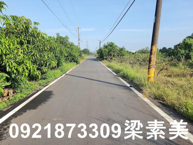 玉井農地-6