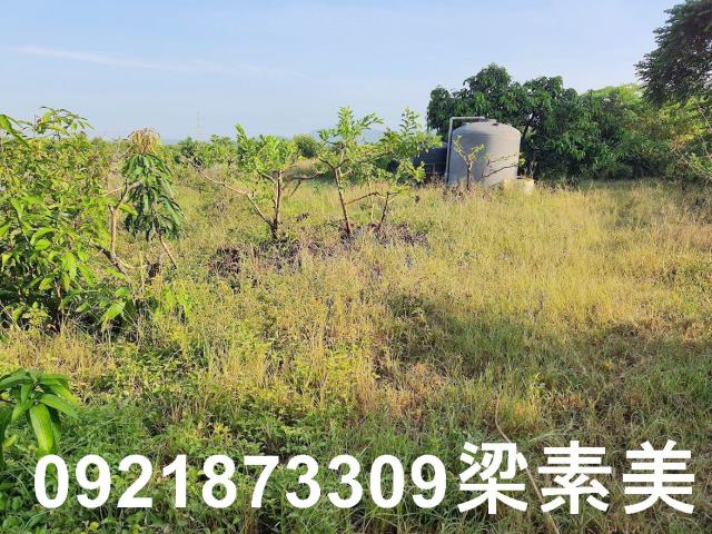 玉井農地-7