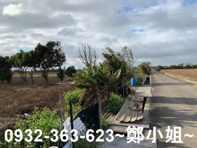 新屋農地-1