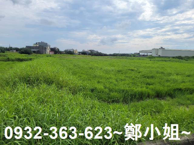 大園農地-4