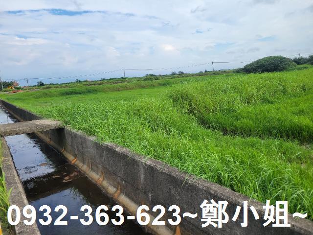 大園農地-5