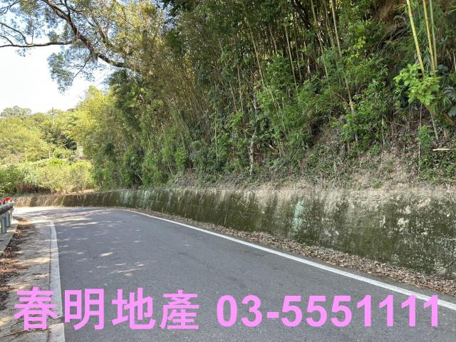 新埔休閒地-10