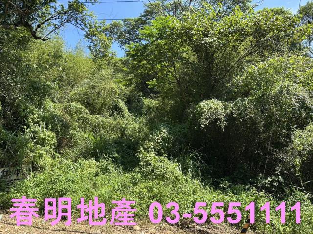 新埔休閒地-11
