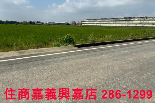 鹿草農地-1