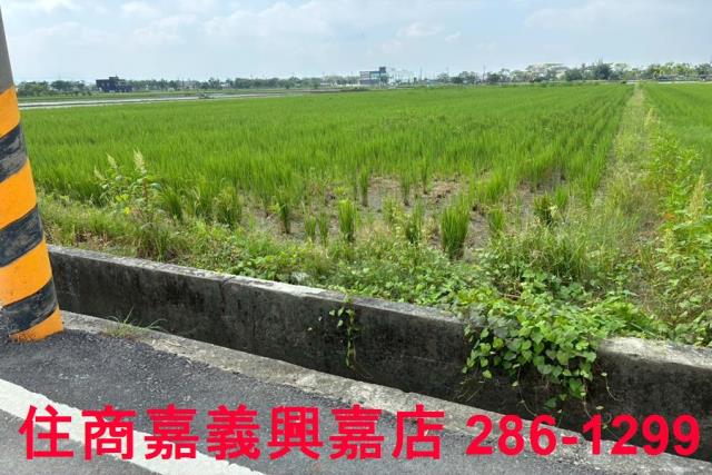 鹿草農地-2