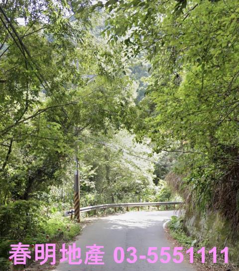 尖石林地-0