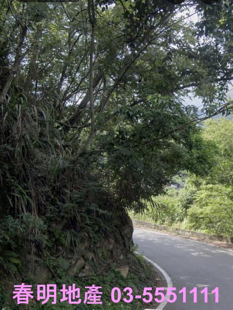 尖石林地-1