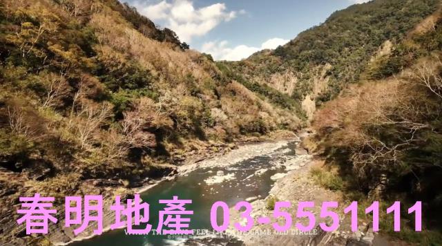 尖石林地-5