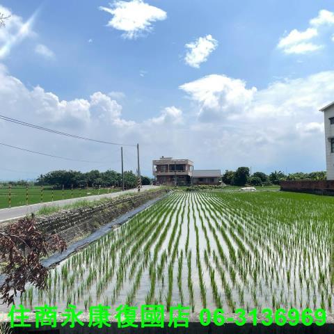 台南農地-13