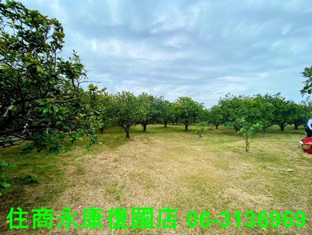 台南農地-3