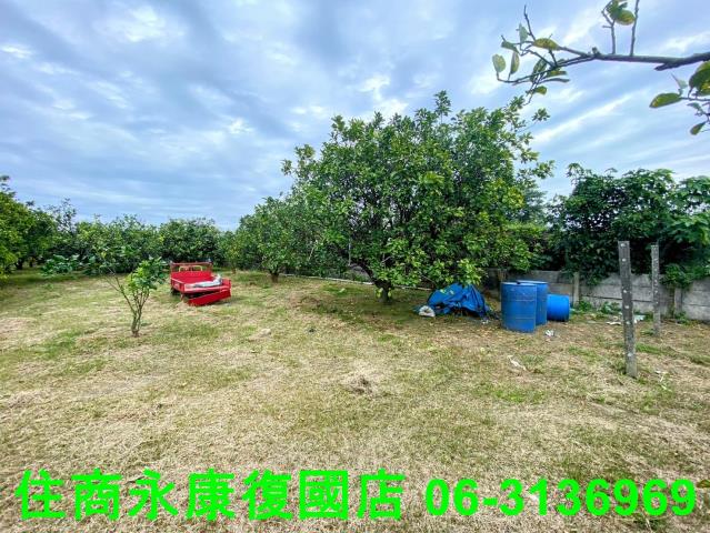 台南農地-4