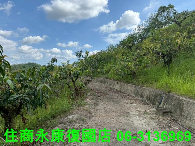 台南農地-9
