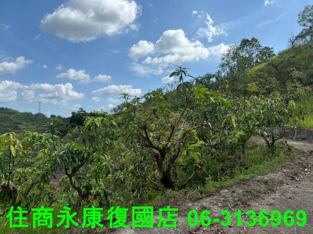 台南農地-11