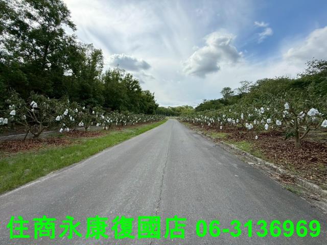 台南農地-0