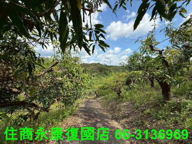 台南農地-2