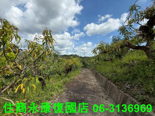 台南農地-3