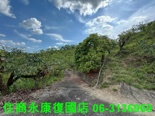 台南農地-4