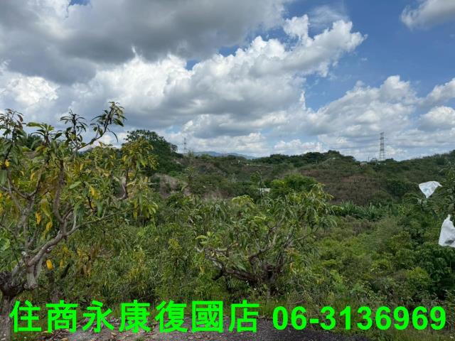 台南農地-5