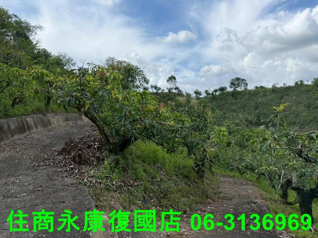 台南農地-6