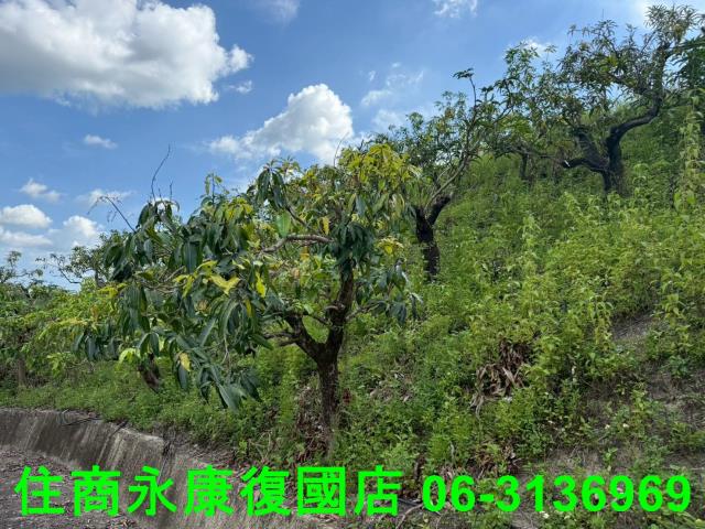 台南農地-7
