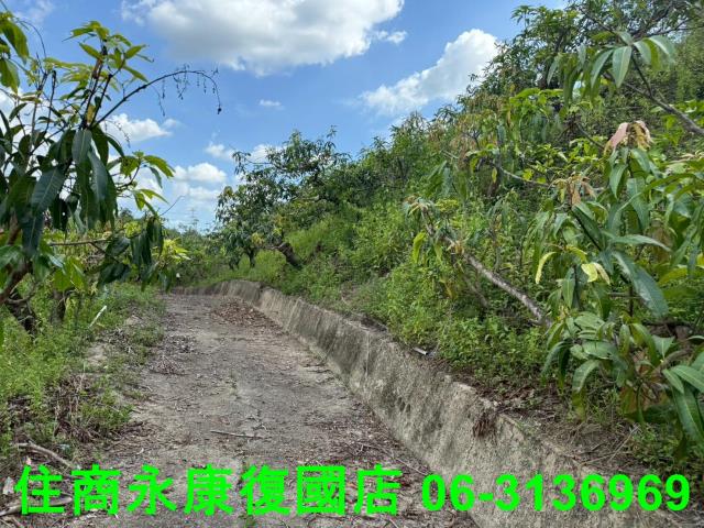 台南農地-8