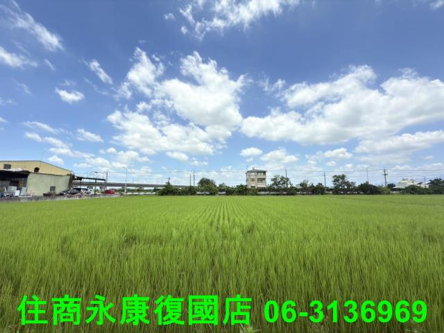 台南農地-4