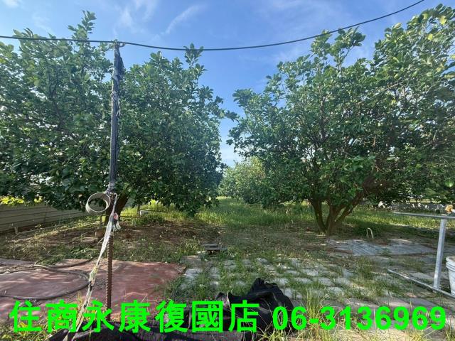 台南農地-12