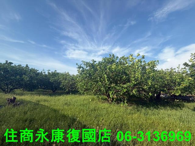 台南農地-4