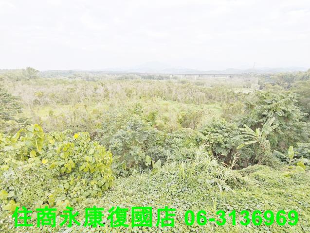 台南農地-5