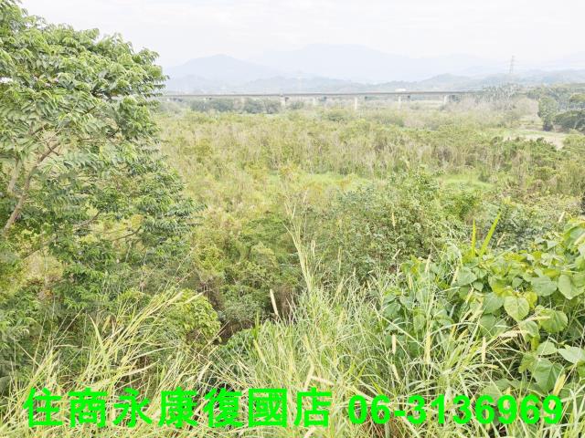 台南農地-6