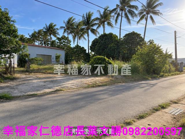 台南仁德農地-15