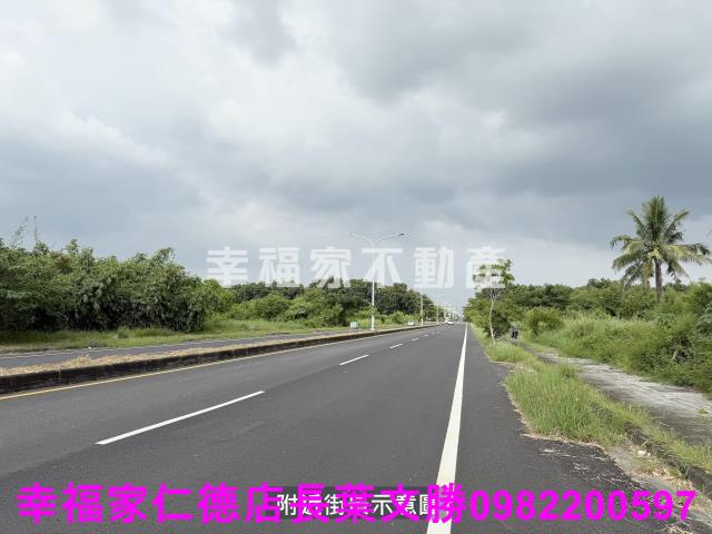台南關廟農地-10