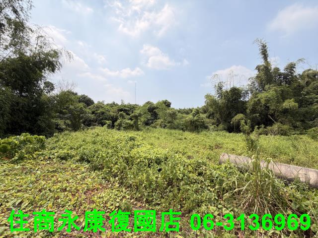 台南歸仁農地-2