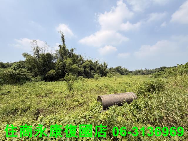 台南歸仁農地-3